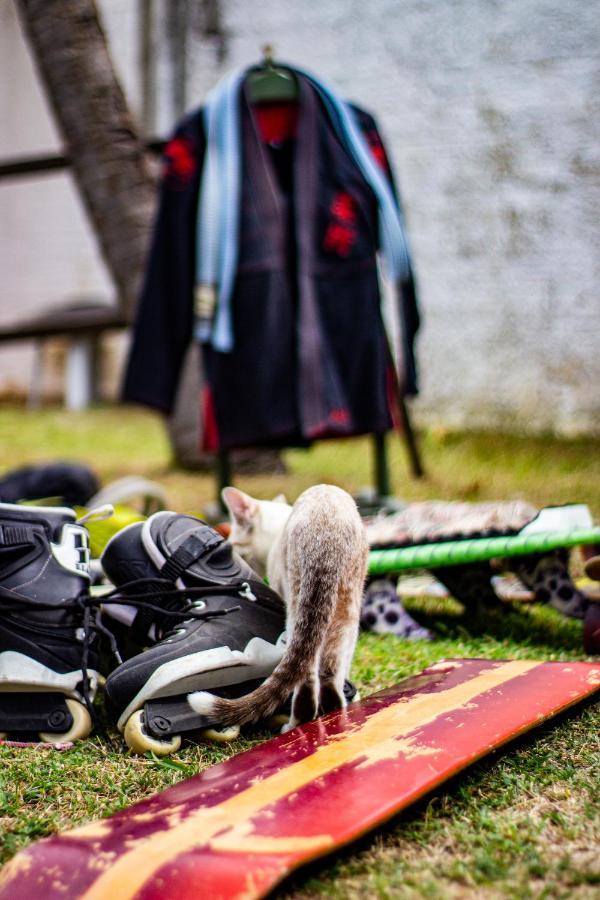 Gato Do Mato Hostel 卡姆布库 外观 照片